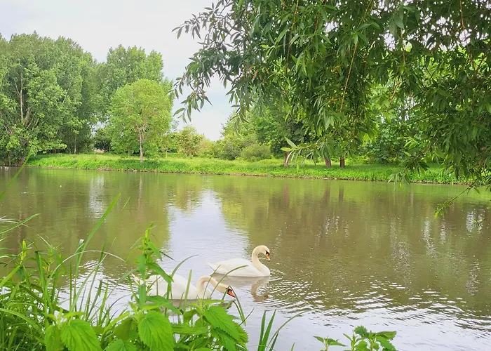 Duplex Cosy La Petite Arche Centre De L'arche Lägenhet Pont-de-lʼArche
